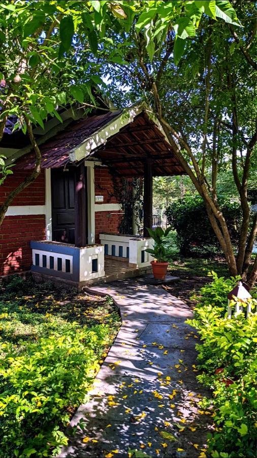 Chalets Resort Masinagudi Utakamand Zewnętrze zdjęcie