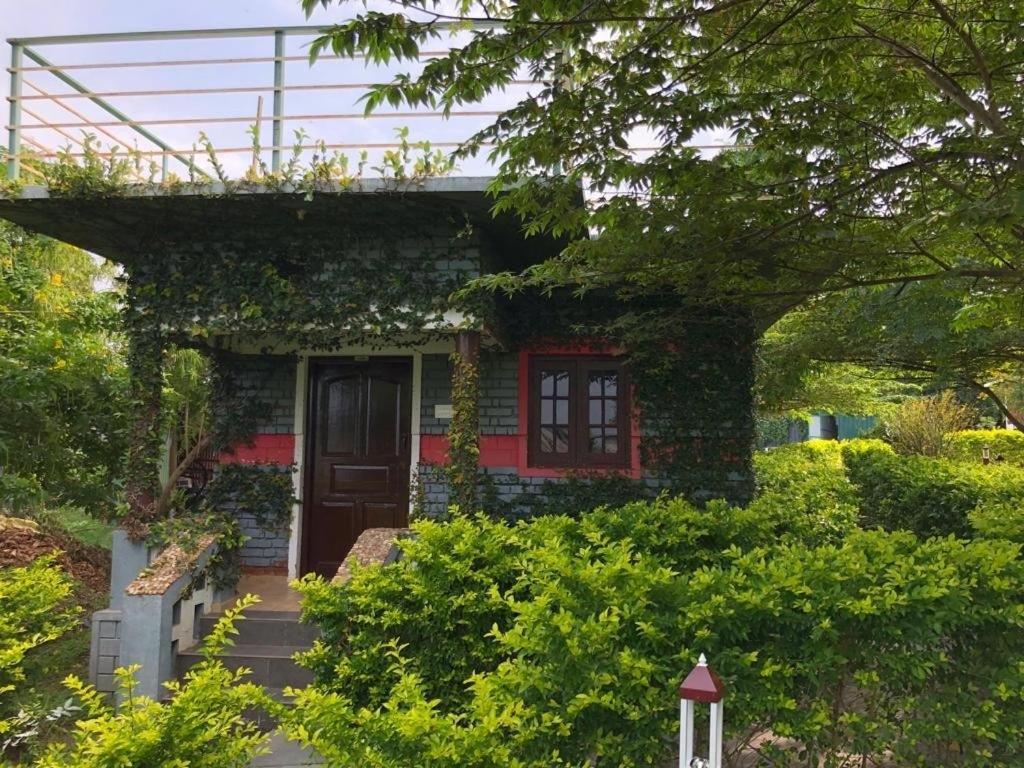 Chalets Resort Masinagudi Utakamand Zewnętrze zdjęcie