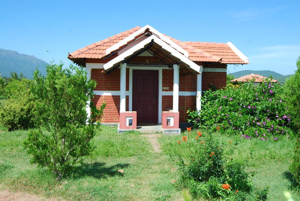 Chalets Resort Masinagudi Utakamand Zewnętrze zdjęcie